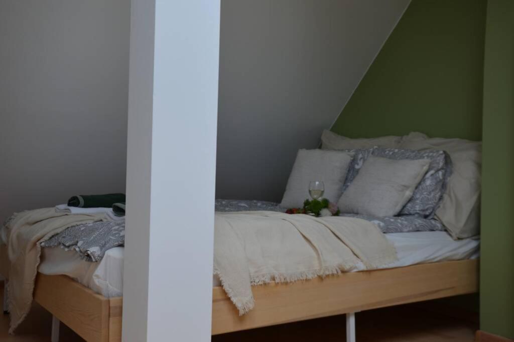 Ines Apartament Two Levels 105M2 In The Old Town Wi-Fi, Olsztyn (Warmian-Masurian) Exterior foto